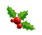 Sprig of holly